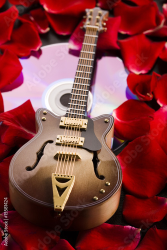 Musical instrumen - guitar and roses