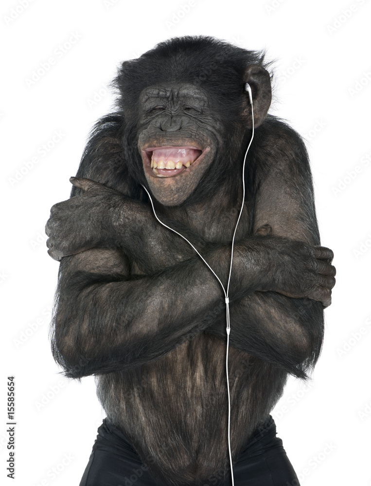 Naklejka premium Monkey listening music