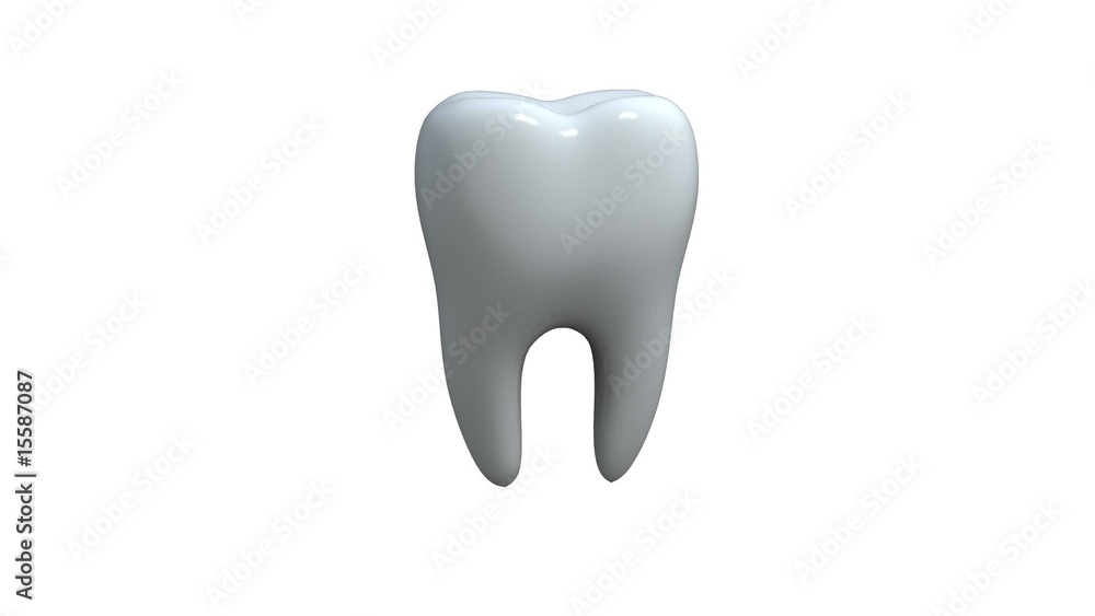 3d tooth model rotates on white background 3d tooth model rotates on white background