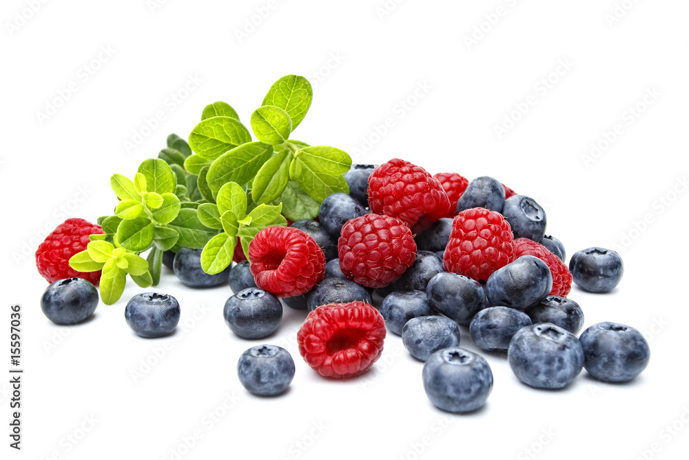 berries: raspberries and bilberries on white background berries: raspberries and bilberries on white background
