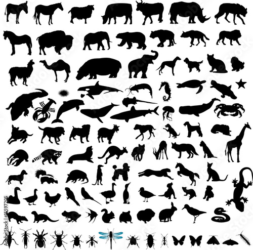 100 Animal Silhouettes