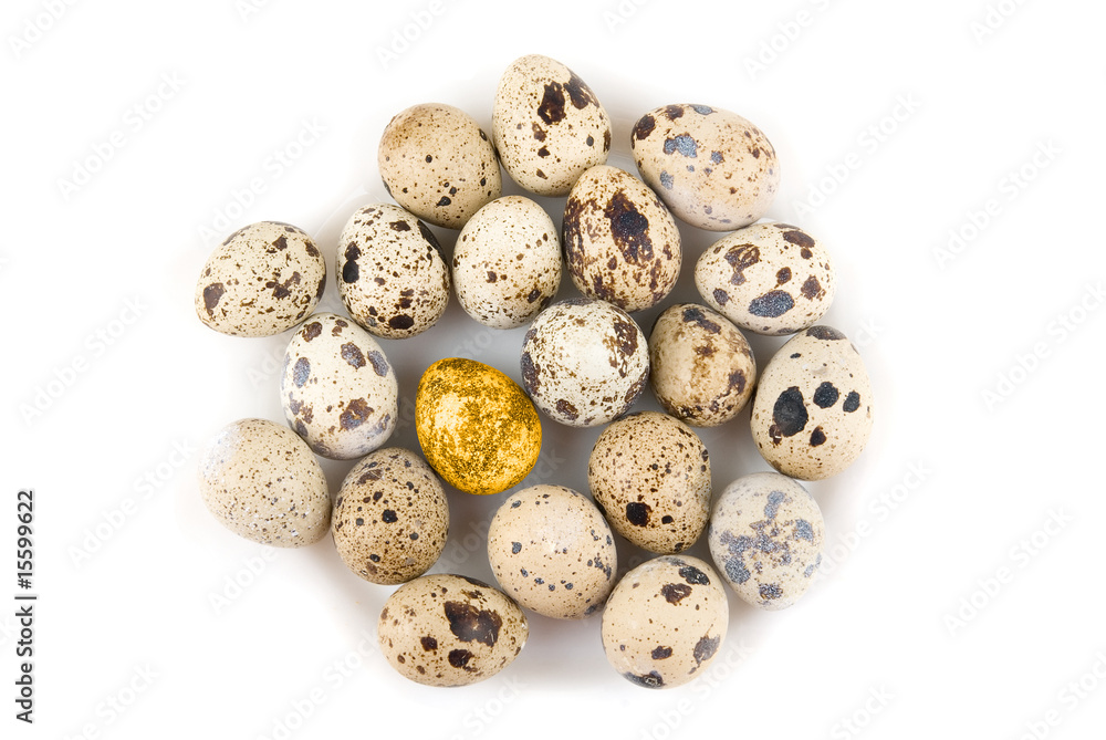 One Gold quail egg