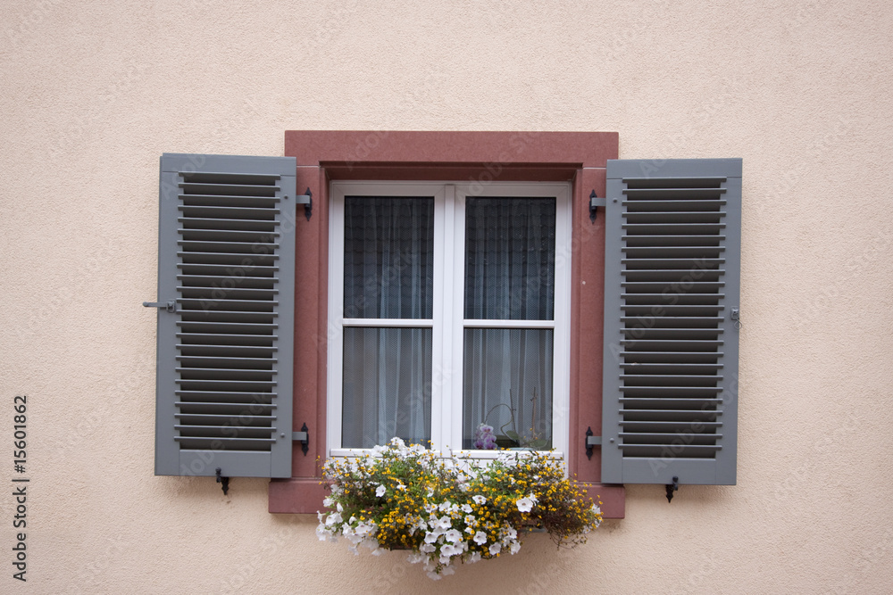 Old Windows and Shutters