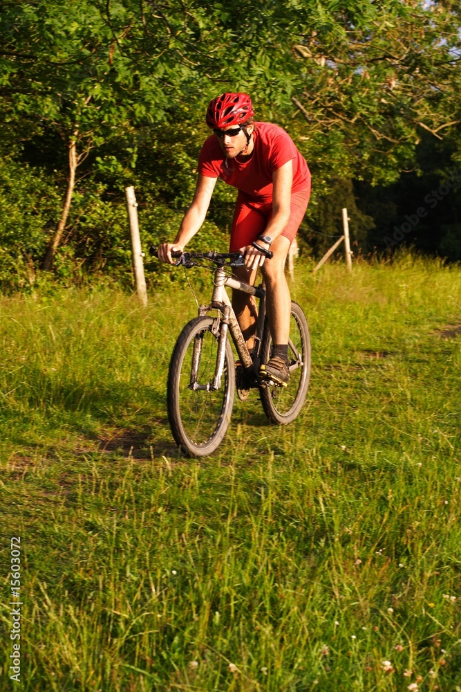 Fototapeta premium Mountain bike