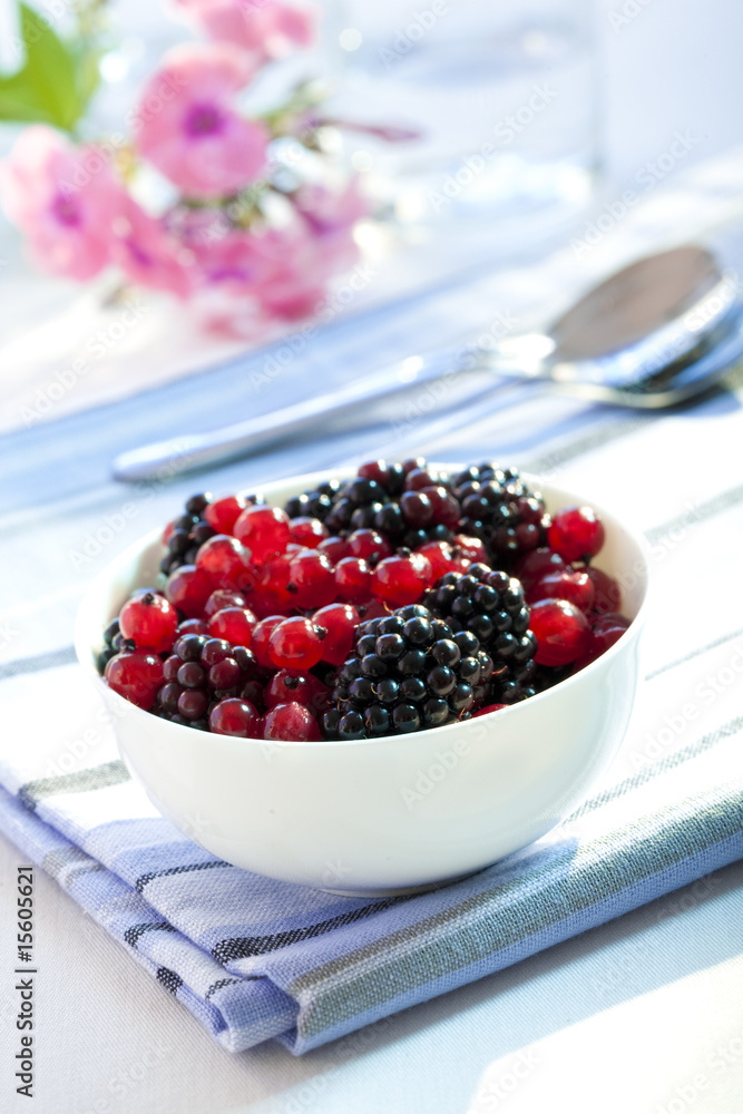 Johannisbeeren und Brombeeren Johannisbeeren und Brombeeren