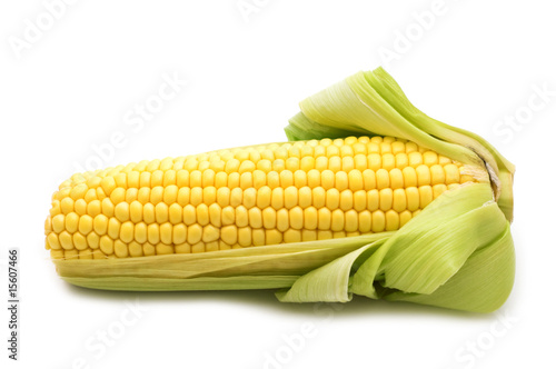fresh corn on white background