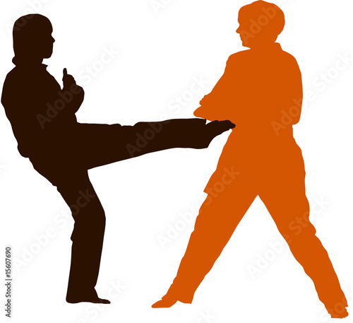 Taekwondo