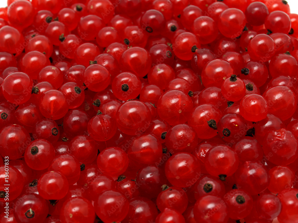 Red Currants Red Currants