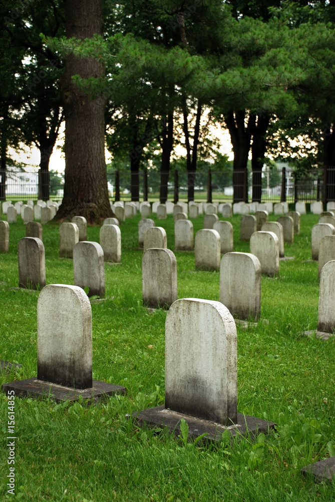 Naklejka premium Old white tombstones in a cemetery.