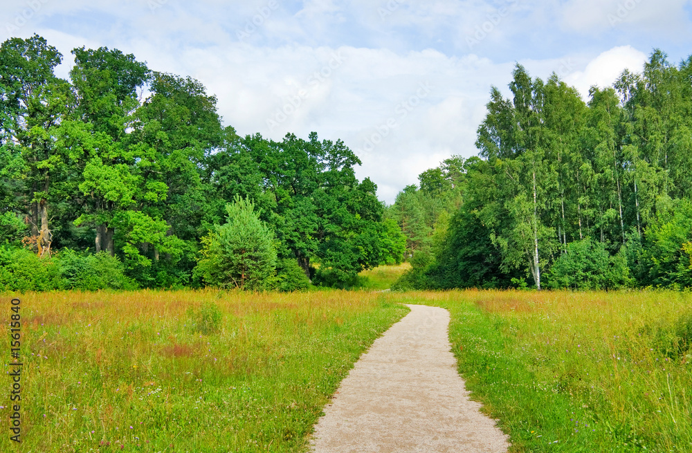 trail in the summer the park, blue sky