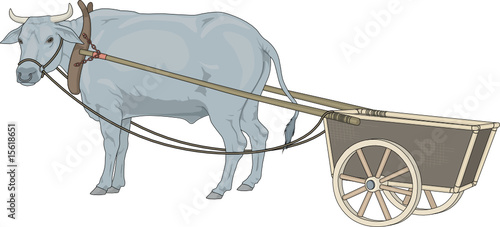 cow of farm, vector illustration
