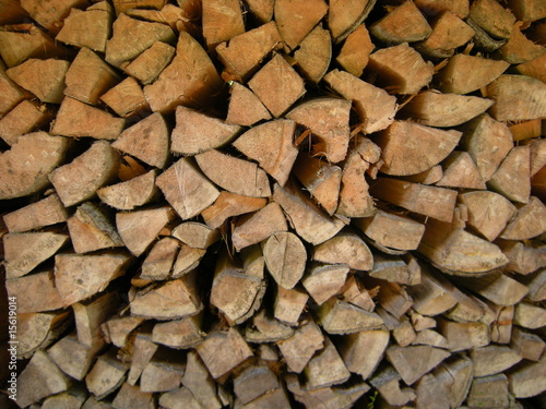 Holz