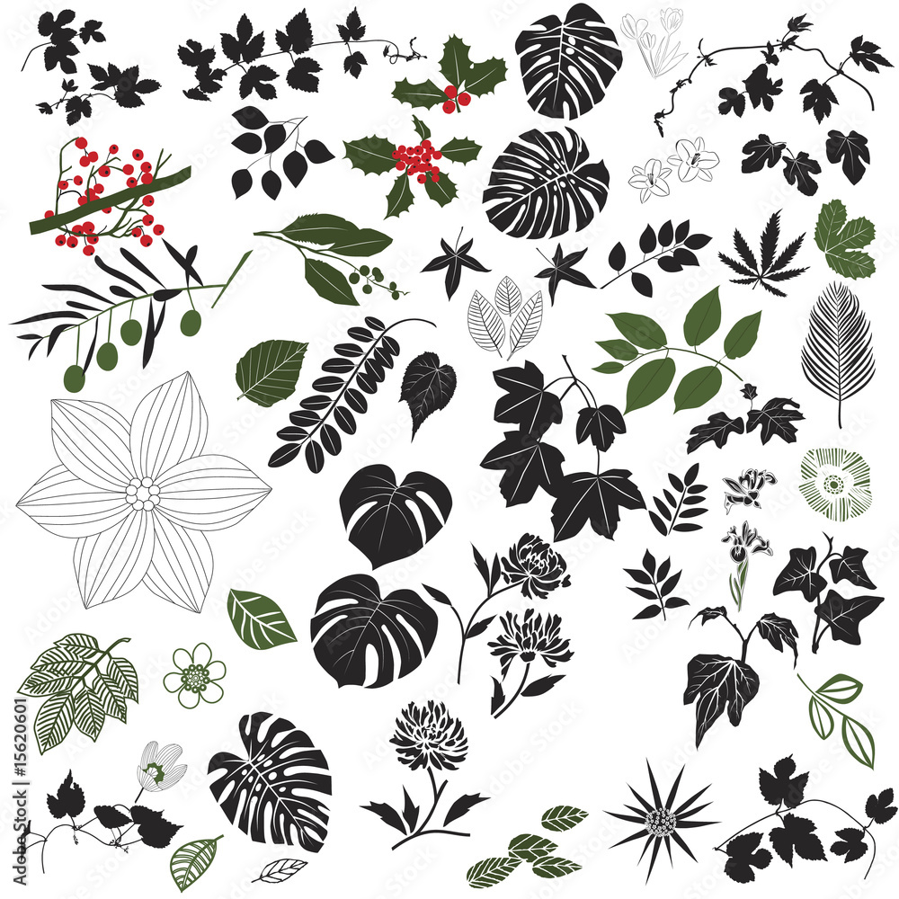Black and White Floral Design Elements