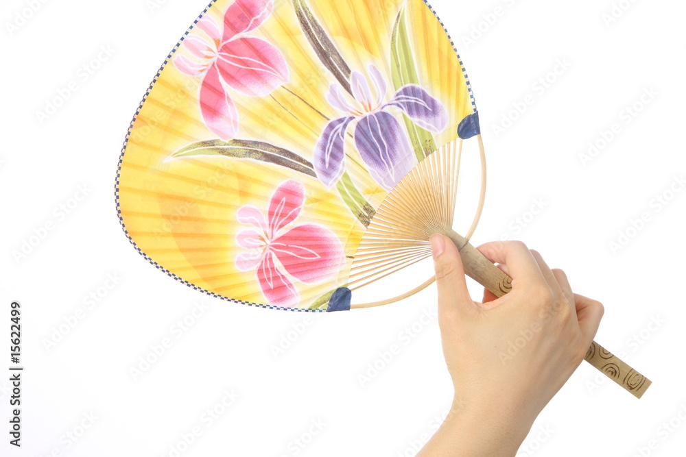 Fototapeta premium Japanese Fan