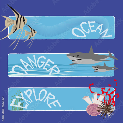 fish banners 2