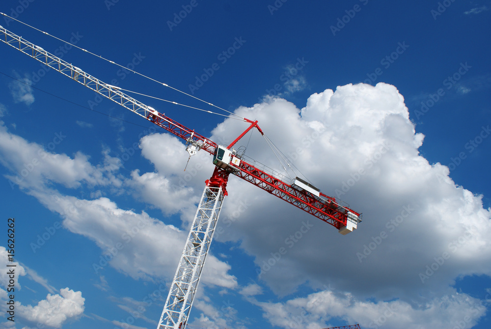 grue rouge et blanc grue rouge et blanc
