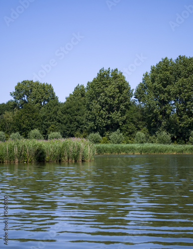 landscape of an open water