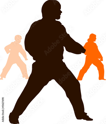 Taekwondo