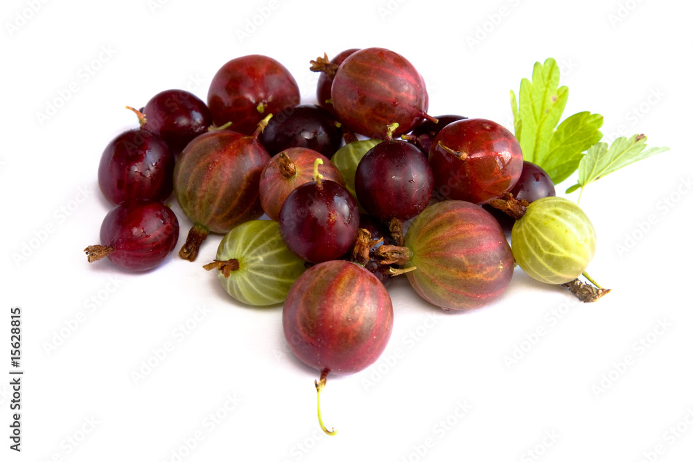 Obraz premium Gooseberries