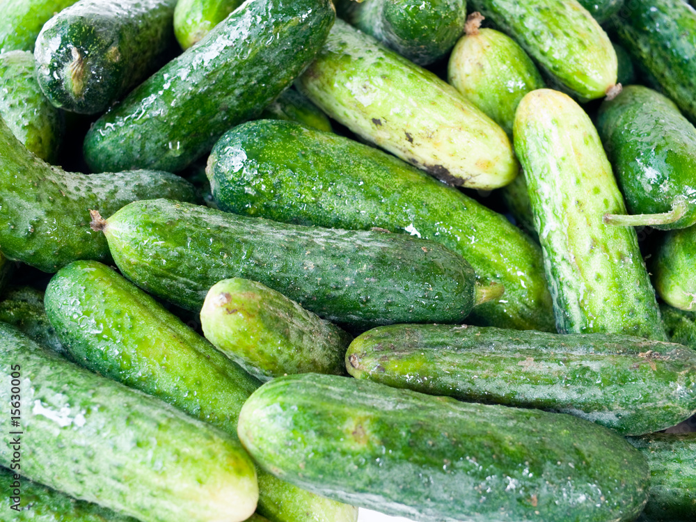 Green cucumbers. Green cucumbers.
