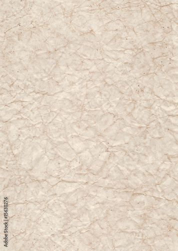 Wallpaper Mural Grunge texture paper Torontodigital.ca