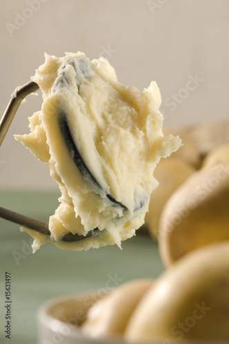 Mashed potato up close photo