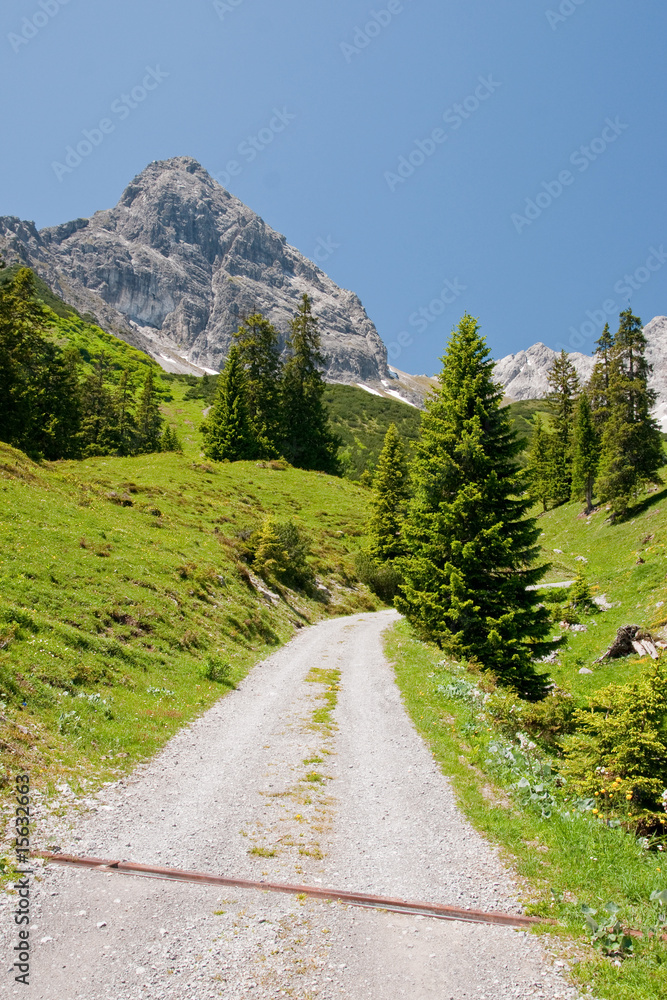 Fototapeta premium Weg in die Berge
