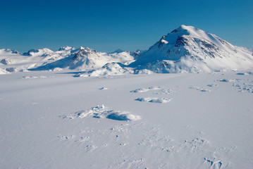 Papier peint photo Arctique Montagnes escarpées du Groenland sauvage  © Anouk Stricher