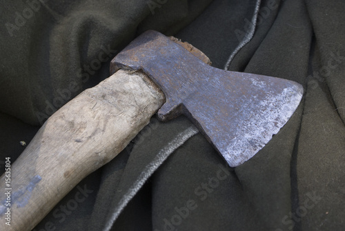 Axe of the viking
