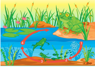 Handdoek met foto Onderwaterwereld Vrolijke onderwaterwereld in cartoonstijl  © GraphicsRF
