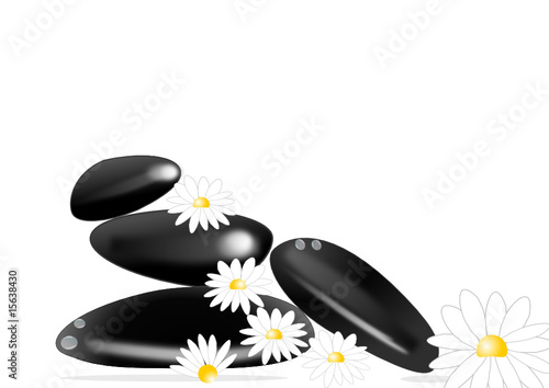 wellness illustration