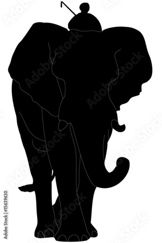 elefante