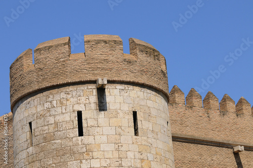 Torreón y muralla photo