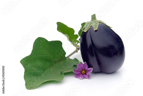 Aubergine 23