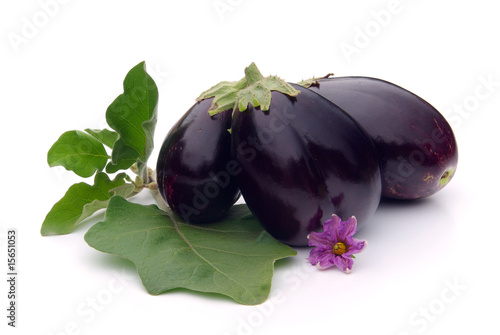 Aubergine 24