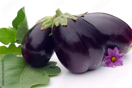 Aubergine 27