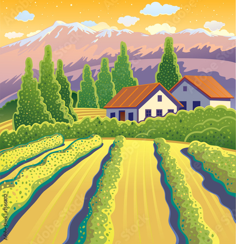 Solar Landscape with vineyard