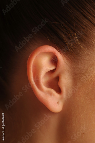 Woman ear photo