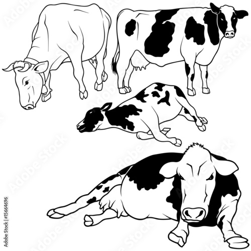 Cow Set 01 - black hand drawn illustration