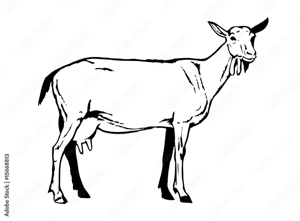 Obraz premium Silhouette