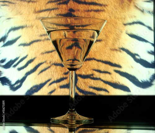 Photography glass on tiger skin