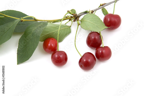 Cherries  objects on white background