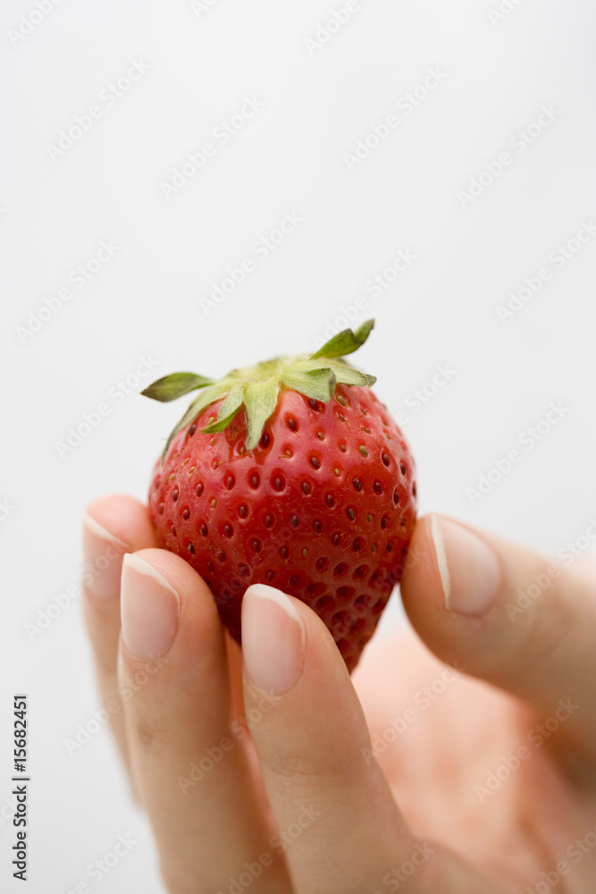 Fototapeta premium イチゴ
