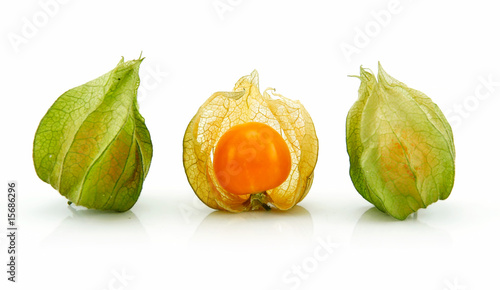 Cape Gooseberry (Physalis) Isolated on White