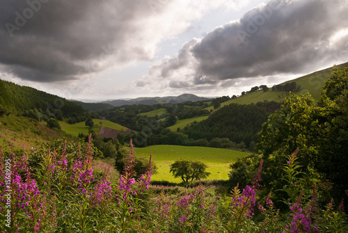 Welsh Vista View photo