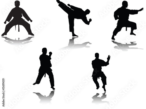 karate player with shadow - vector