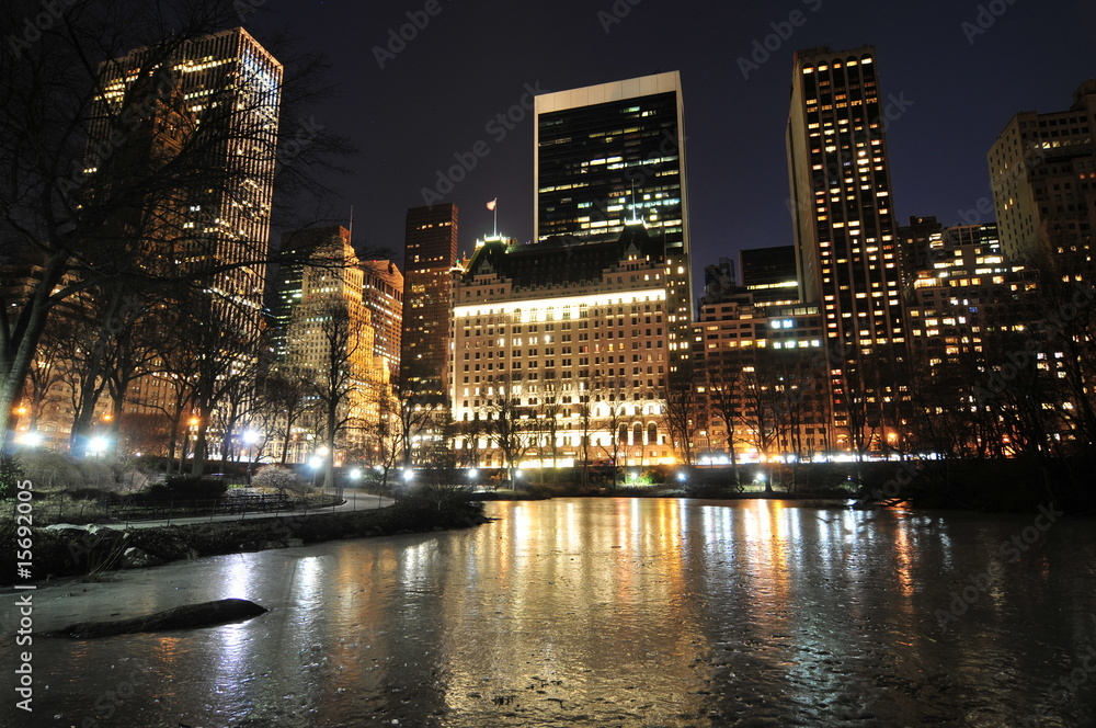 Obraz premium Central Park at night