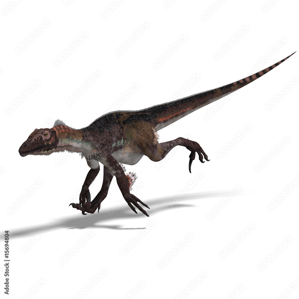 Dinosaur Utahraptor Dinosaur Utahraptor