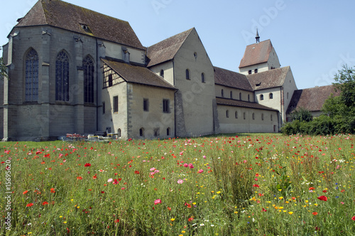 Wildblumenwiese, Klostergarten; Marienmuenster