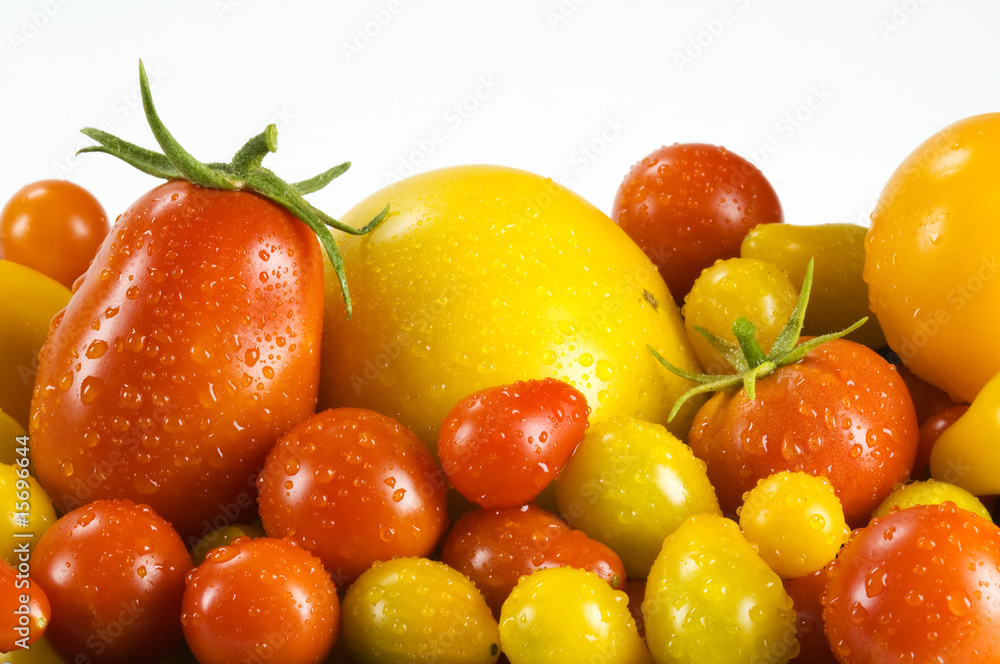 Tomatoes Tomatoes